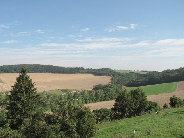 Neresheim Abbey