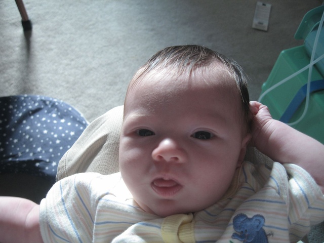 Tongue