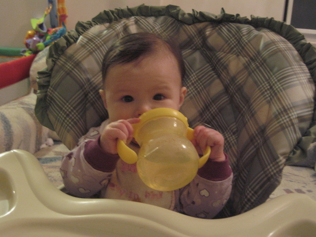 Haley Drinking