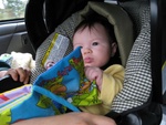 Haley figured out that she can't eat the darn book but she gets to suck it though