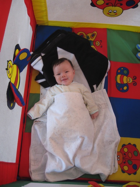 Haley in playpen