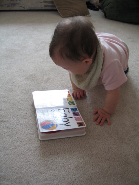 Reading baby colours book