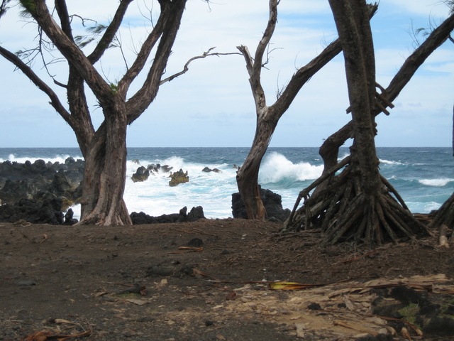 Big waves