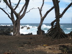 Big waves