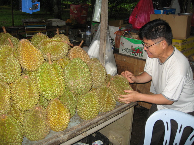 Albert choosing a durian