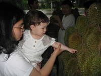 Highlight for album: Malaysia 2010