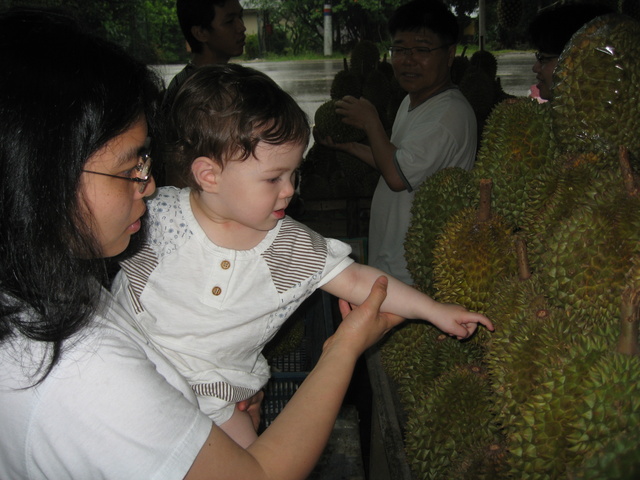 Haley touching a durian