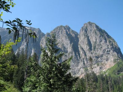 IMG_1994.jpg