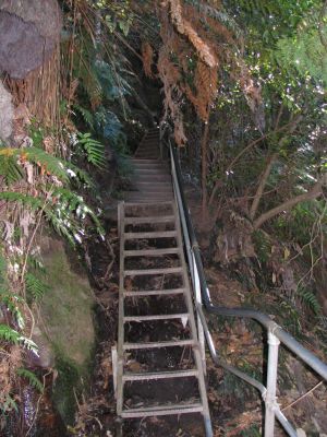 Australia_Apr_1_2006_119.jpg