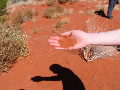 Australia_Apr_1_2006_219.jpg
