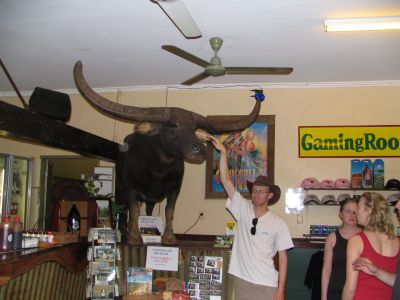 Australia_Apr_J_2006_014.jpg