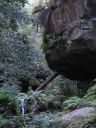 Australia_Apr_1_2006_188.jpg
