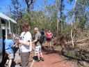 Australia_Apr_2006_131.jpg