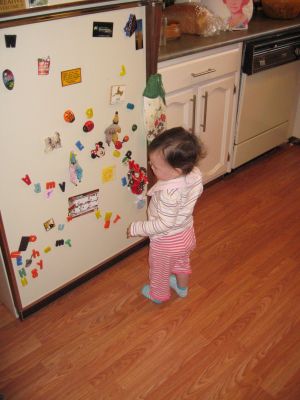 IMG_0160.jpg