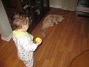 IMG_2678.jpg