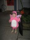 IMG_0062.jpg