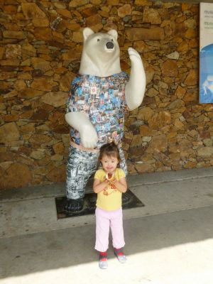 P1000525.jpg