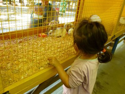 P1000550.jpg