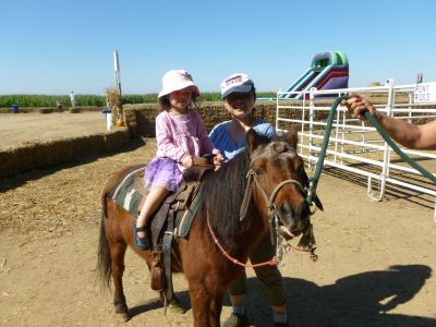 P1000729.jpg
