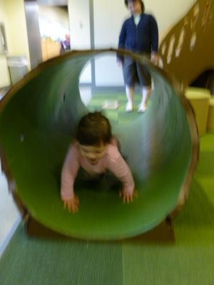 P1000744.jpg