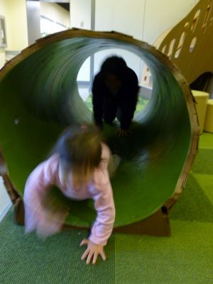 P1000746.jpg