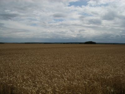 IMGP0025.jpg