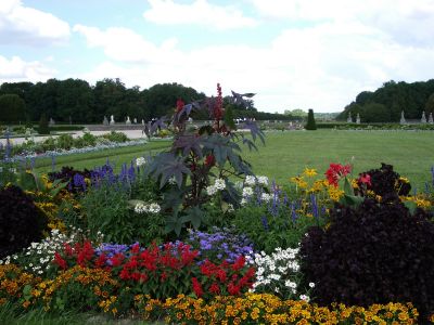 IMGP0044_001.jpg