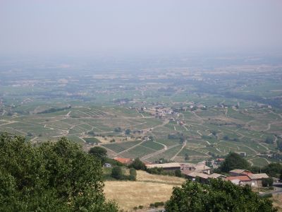 IMGP0074.jpg