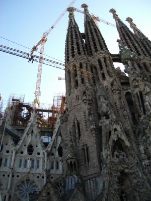 IMGP0190.jpg