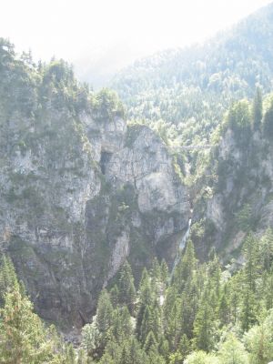 IMG_0017.jpg