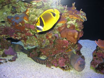 IMG_0094.jpg