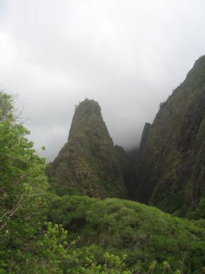 IMG_0204.jpg
