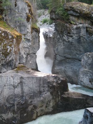 IMG_0006.jpg