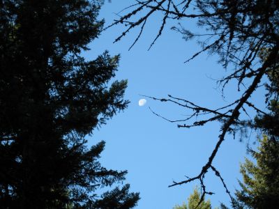 IMG_0017.jpg