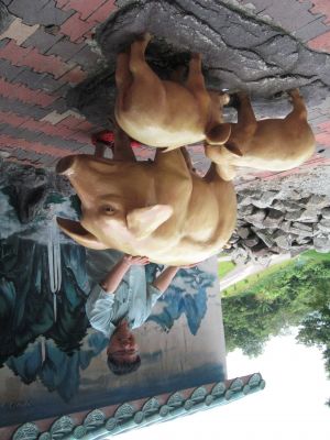 IMG_0066.jpg