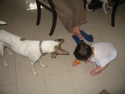 IMG_0161.jpg