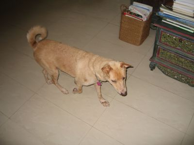 IMG_0164.jpg