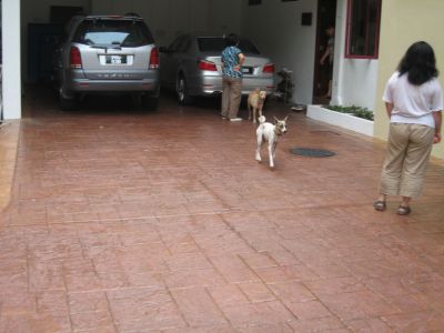 IMG_0168.jpg