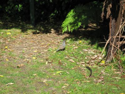 IMG_0200.jpg