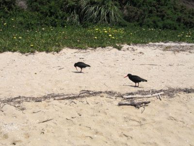 IMG_0229.jpg