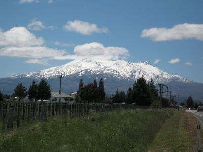 IMG_0308.jpg