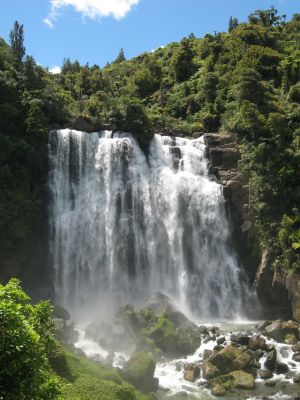 IMG_0399.jpg