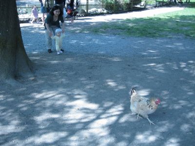 IMG_0075.jpg