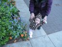 IMG_0036.jpg