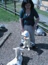 IMG_0085.jpg