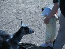 IMG_0086.jpg