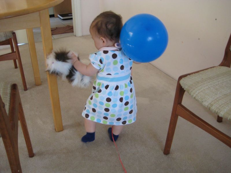 IMG_1787.jpg