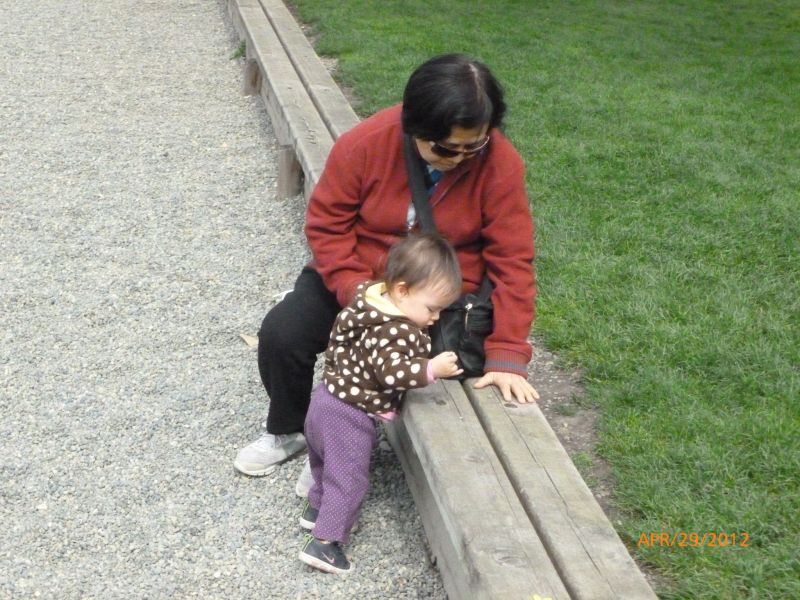P1010894.jpg