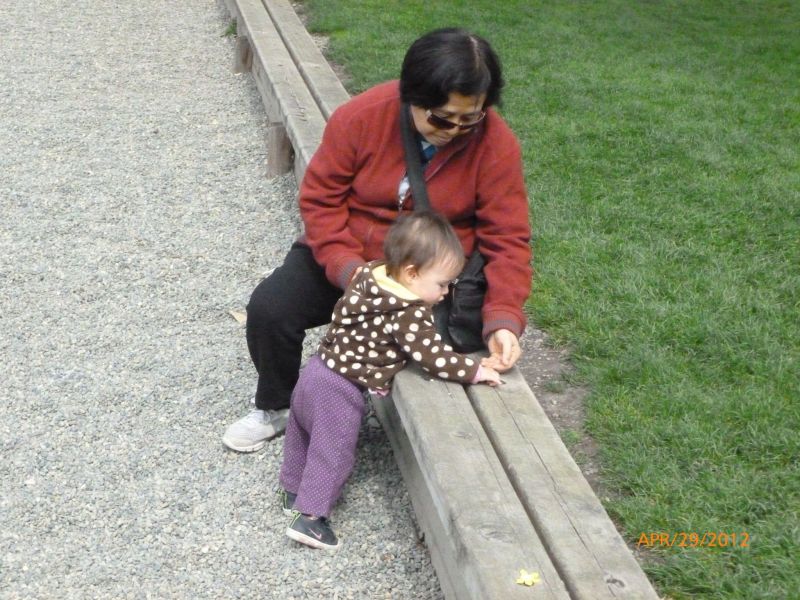 P1010896.jpg