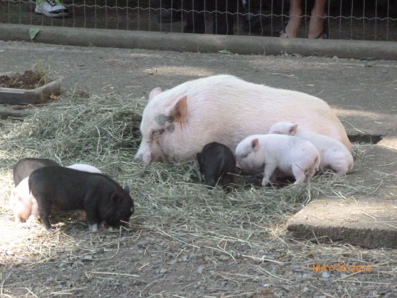 P1010949.jpg